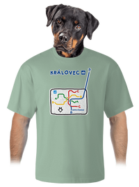 unisex tričko oversized