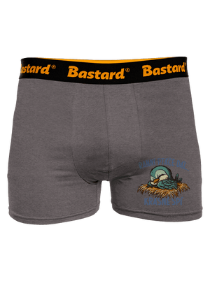 Ranní ptáče spí boxerky Gray Melange