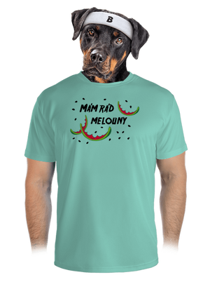 pánské sportovní tričko