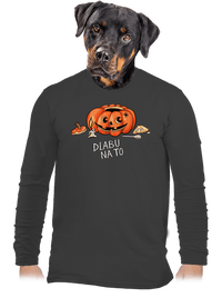 pánské dlouhý rukáv