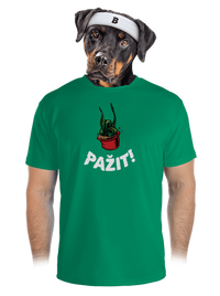 pánské sportovní tričko