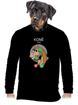 pánské dlouhý rukáv