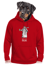 pánská mikina klokanka