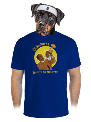 pánské sportovní tričko