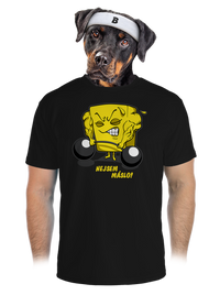pánské sportovní tričko