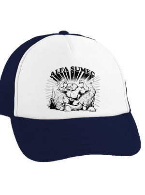 Alfasumec kšiltovka French Navy cap