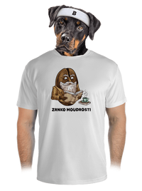 pánské sportovní tričko