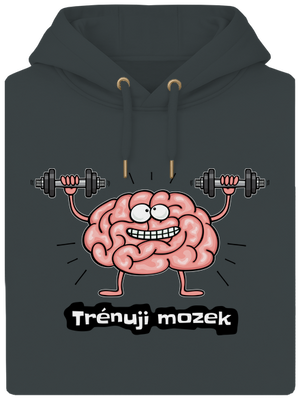 Trénuji mozek unisex mikina premium Charcoal