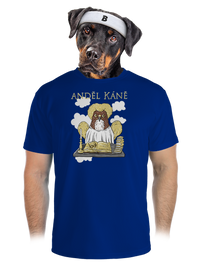 pánské sportovní tričko