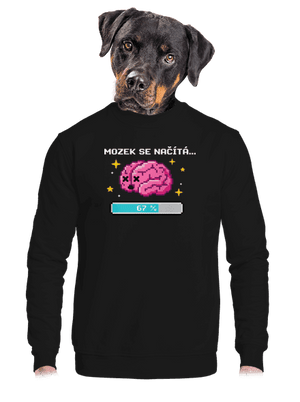 unisex mikina bez kapuce