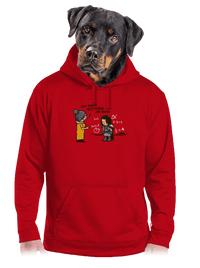 pánská mikina klokanka