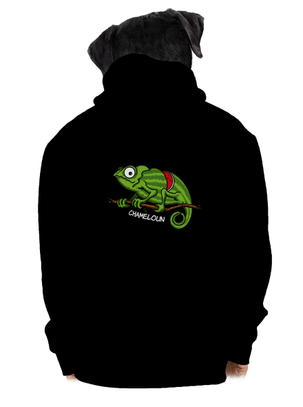 Chameloun pánská mikina na zip Black