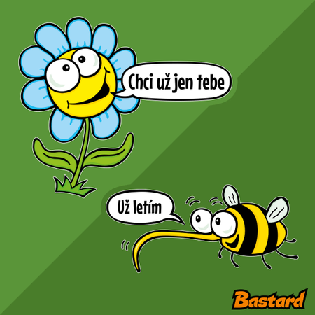 Chci už jen tebe