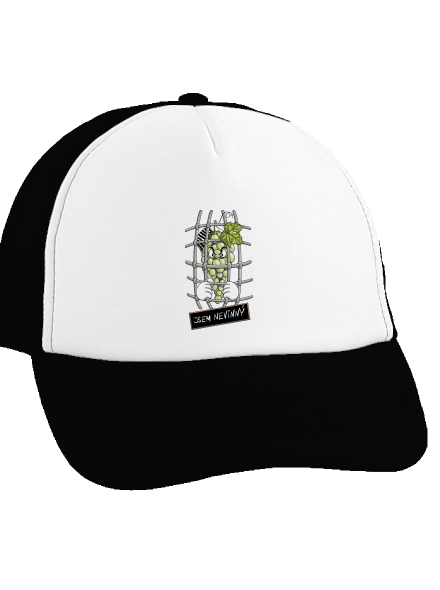 Nevinný Hrozen kšiltovka truckerka Black cap