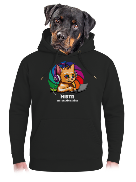 Mistr virtuálního světa unisex mikina premium Dark Black