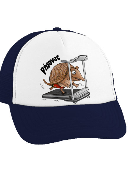 Pásovec kšiltovka truckerka French Navy cap