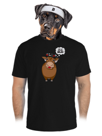 pánské sportovní tričko