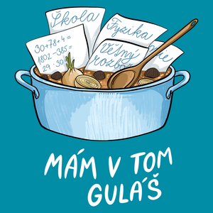 Mám v tom guláš