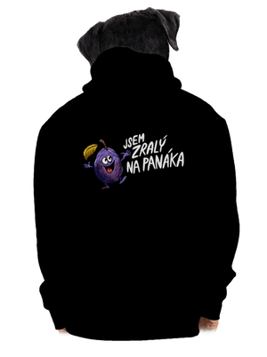 pánská mikina na zip