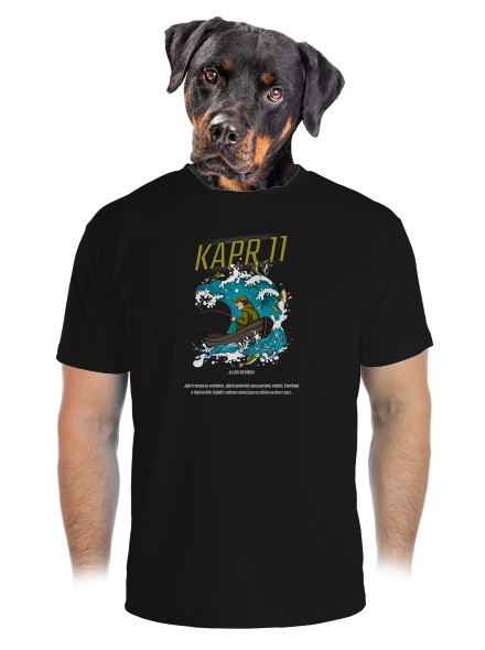 Kapr 11 pánské sportovní tričko Black