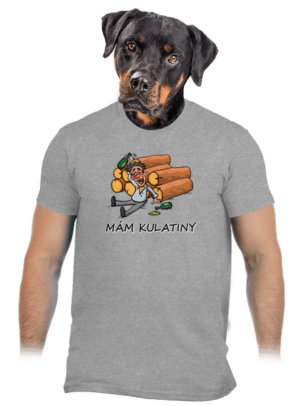 Mám kulatiny pánské tričko Sport Grey