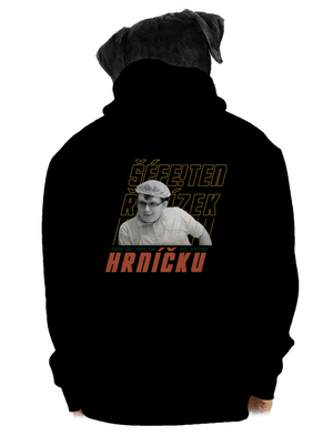 pánská mikina na zip