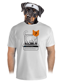 pánské sportovní tričko