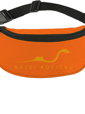 Najdi kočičku ledvinka Orange