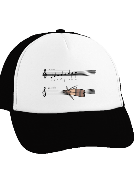 A - moll kšiltovka truckerka Black cap