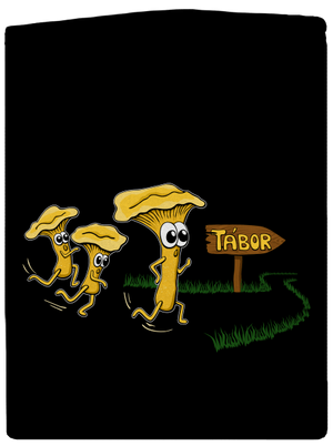 Běží lišky k Táboru dámská mikina na zip Black