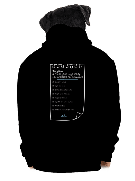 To do list na rozlučku se svobodou a fix pánská mikina na zip Black