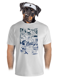 pánské sportovní tričko