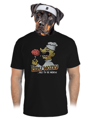 pánské sportovní tričko