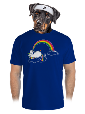 pánské sportovní tričko