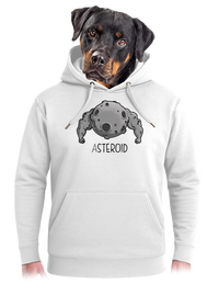 unisex mikina premium