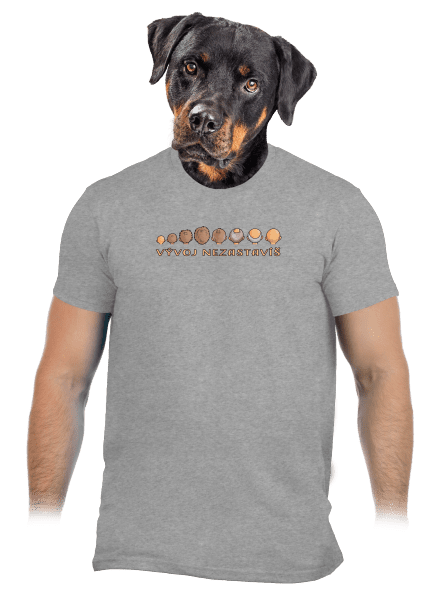 Vývoj nezastavíš pánské tričko Sport Grey
