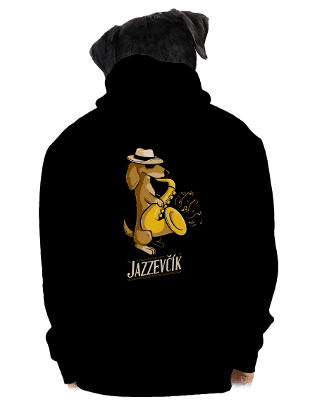 Jazzevčík pánská mikina na zip Black