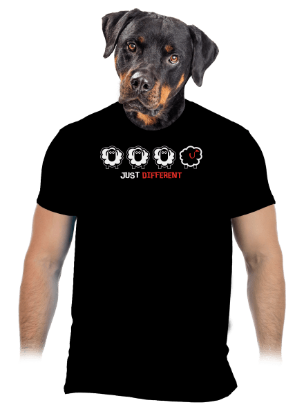 Černá ovce pánské tričko Black