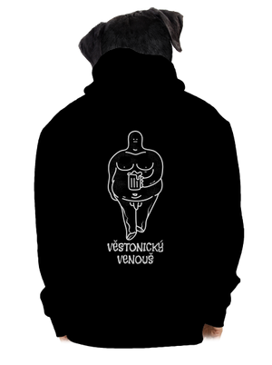 pánská mikina na zip