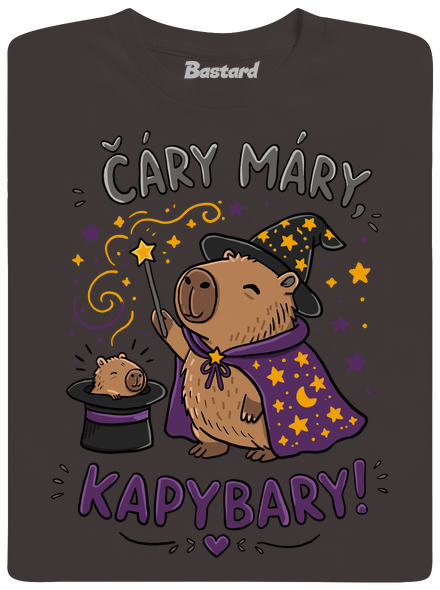 Čáry máry kapybary pánské dlouhý rukáv Bear Brown