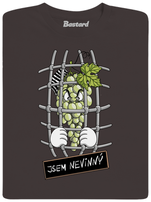 Nevinný Hrozen pánské dlouhý rukáv Bear Brown