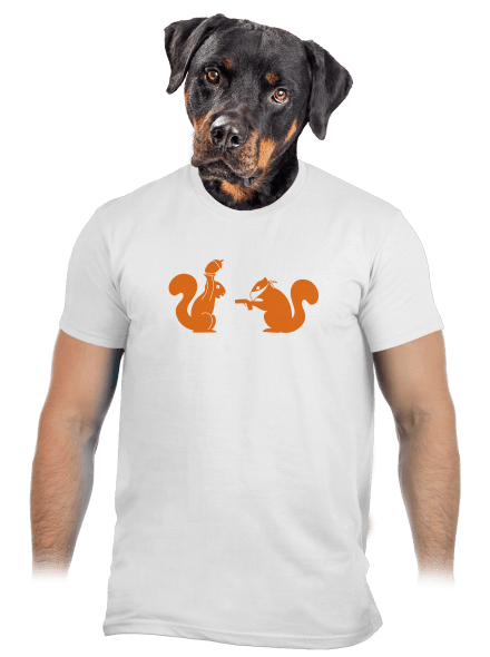 Veverky pánské tričko White