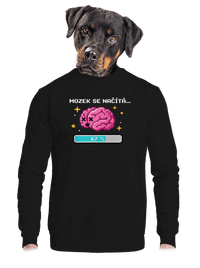unisex mikina bez kapuce