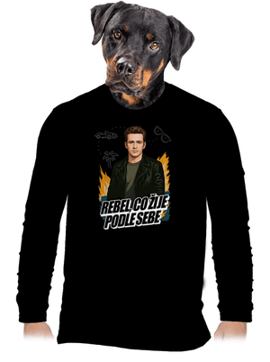 pánské dlouhý rukáv