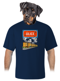 unisex tričko oversized