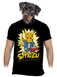pánské tričko