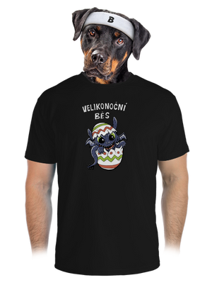 pánské sportovní tričko