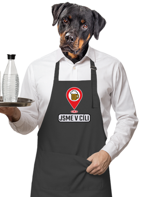 zástěra