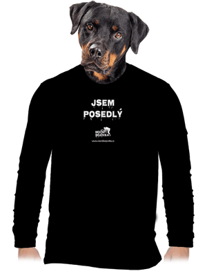 pánské dlouhý rukáv