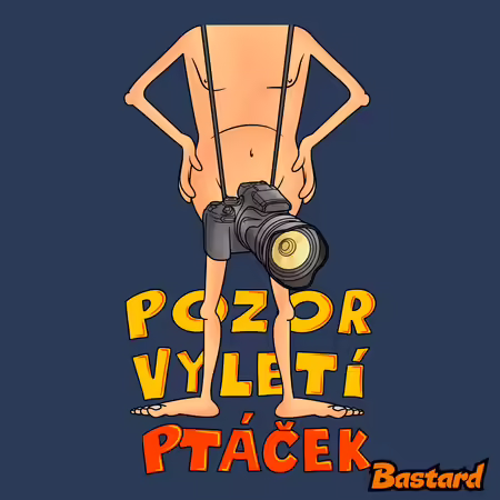 Vyletí ptáček